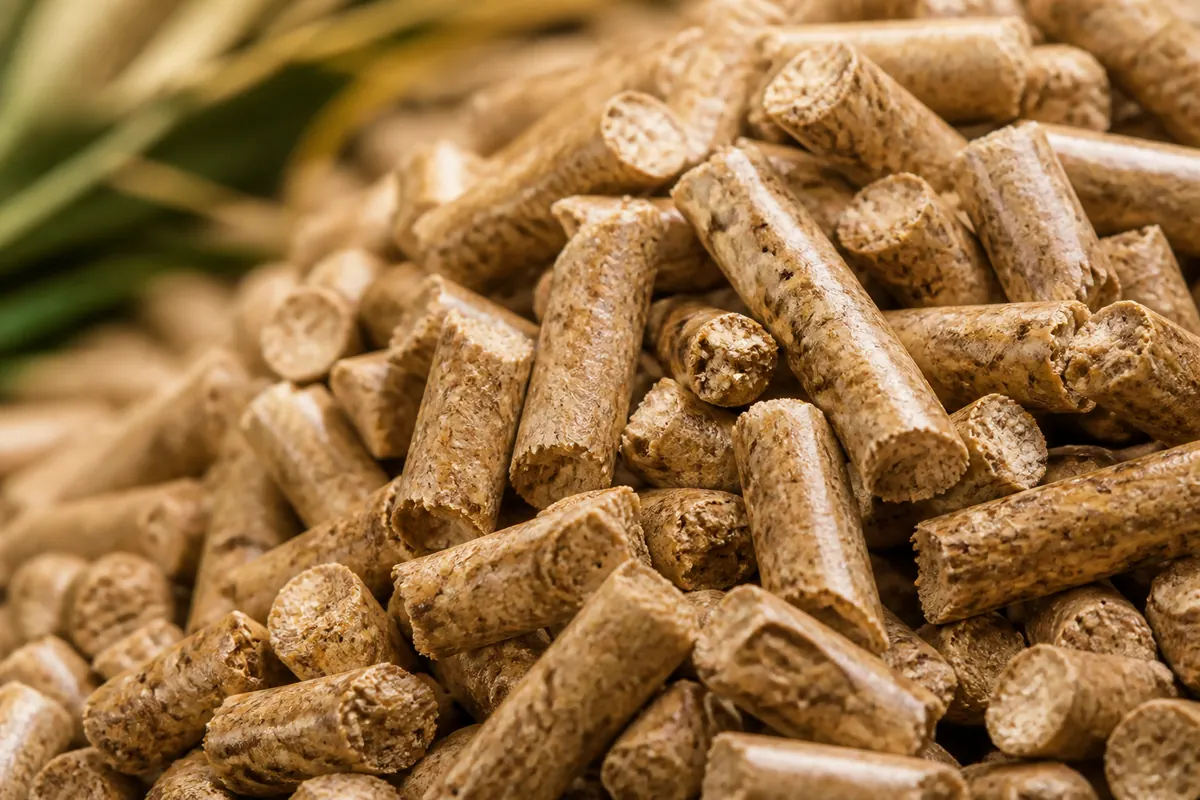 Biomass pellets close detail